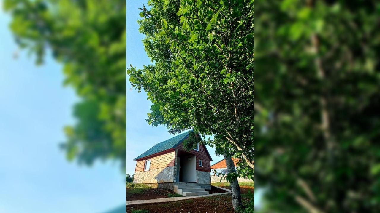Rural Resort Tron Pluzine Luaran gambar